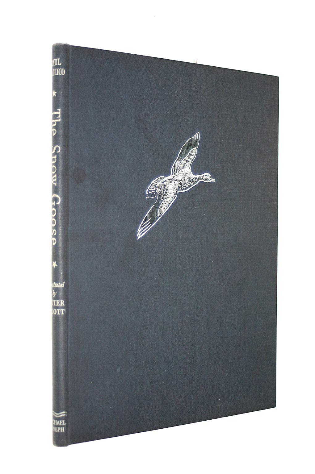 Snow Goose