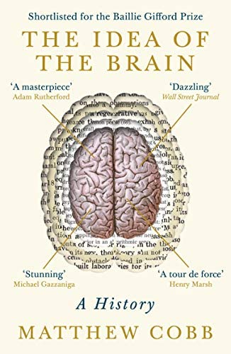 The Idea of the Brain: A History (Paperback)