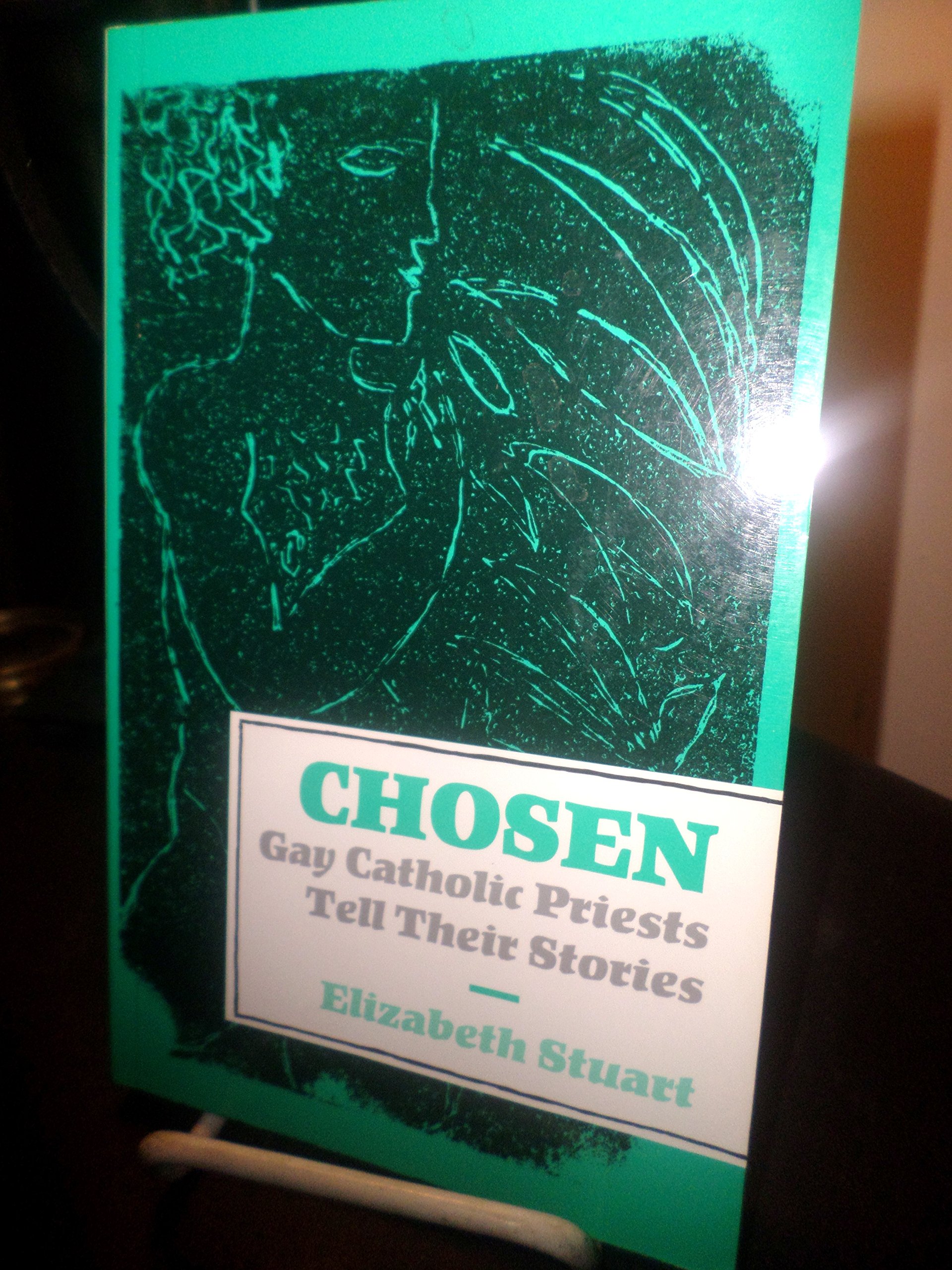 Chosen: Gay Catholic Priests Tell Their Stories (Hardcover)