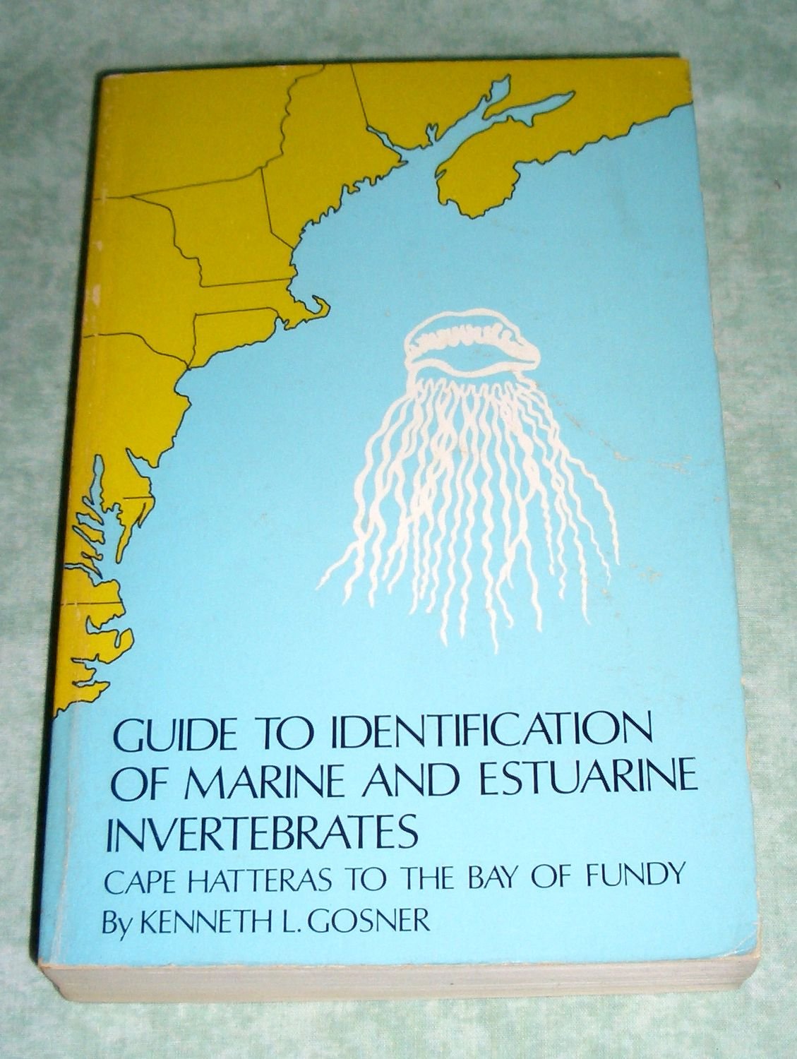 Guide to Identification of Marine and Estuarine Invertebrates: Cape Hatteras to the Bay of Fundy (Paperback)