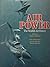 Air power: The world's air forces