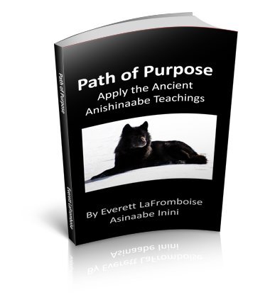 Path of Purpose: Apply the Ancient Anishinaabe Teachings (Unknown Binding)