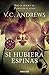 Si Hubiera Espinas (Dollanganger Series) by Virginia C Andrews (2001-01-01)