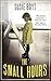The Small Hours by Boyt, Susie (2013) Paperback