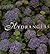 Hydrangeas by Daria Price Bowman (1999-07-02)