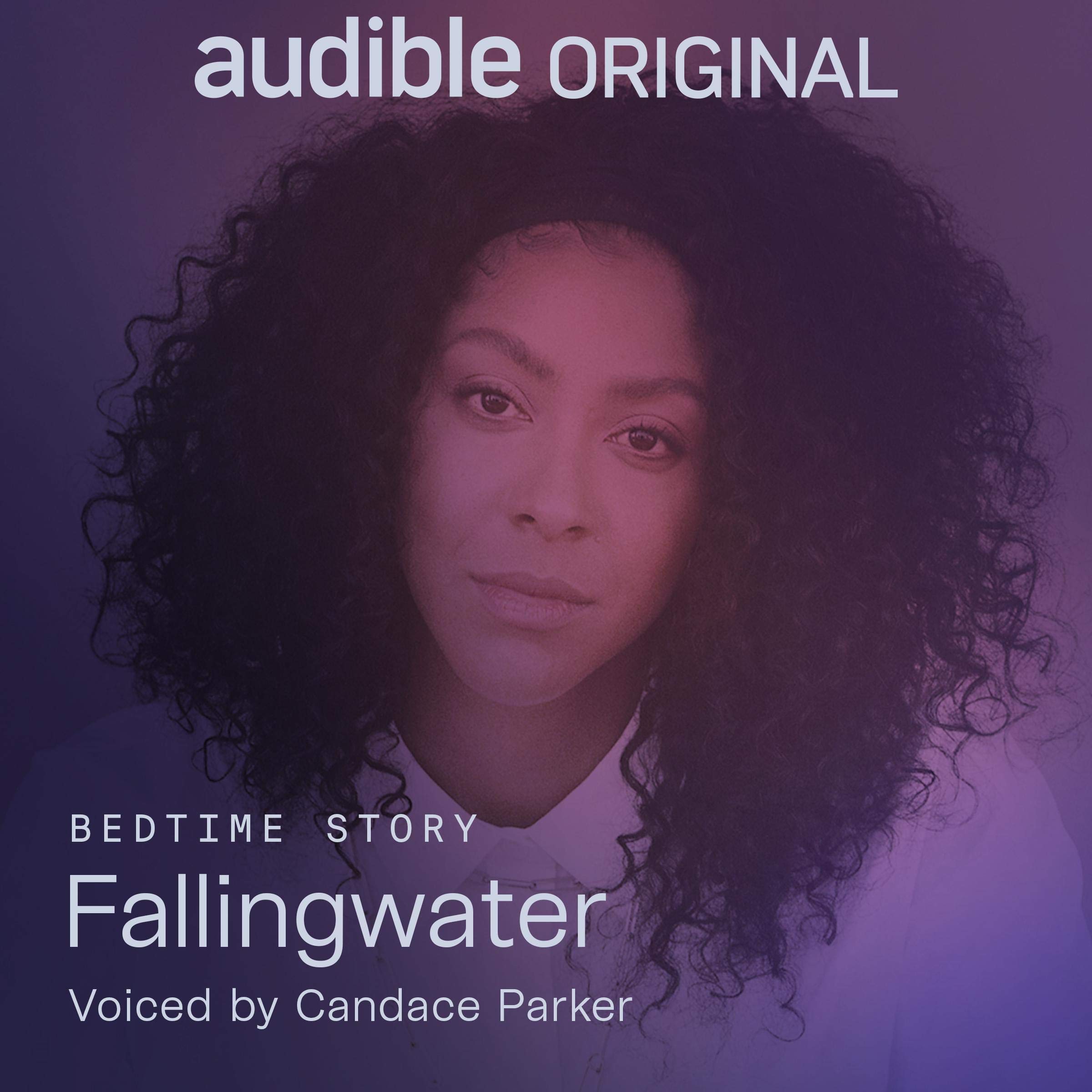 Fallingwater (Audible Audio)