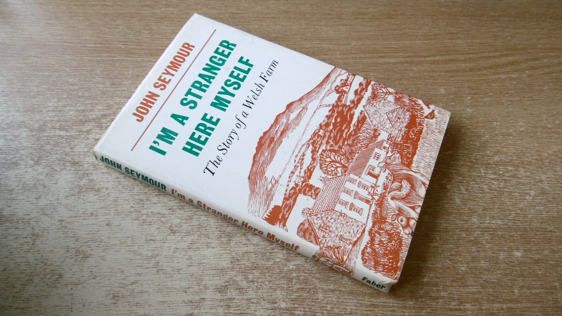 I'm a stranger here myself: The story of a Welsh farm (Hardcover)