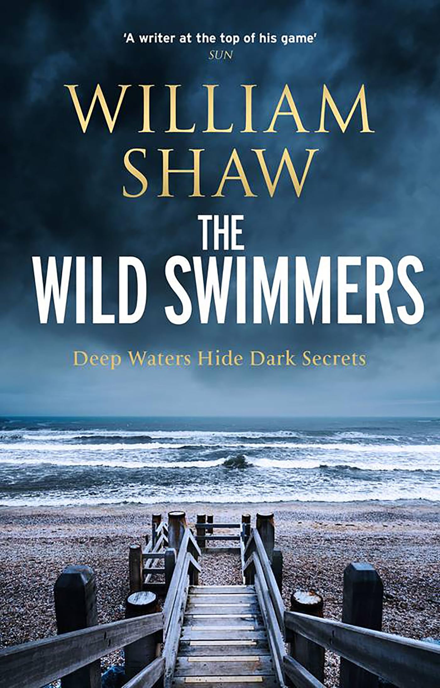 The Wild Swimmers (DS Alexandra Cupidi, #5)