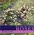 Designing with Roses by Tony Lord (2000-08-03)