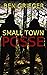 Small Town Posse