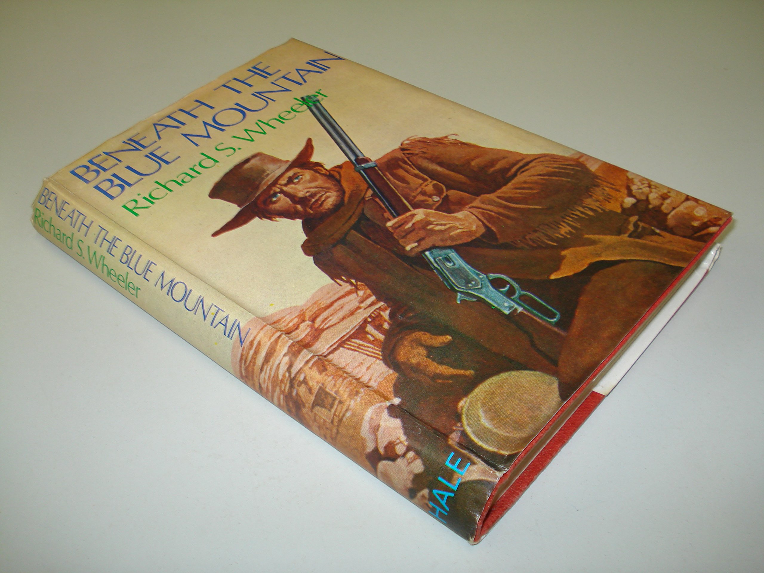 Beneath the Blue Mountain (Hardcover)