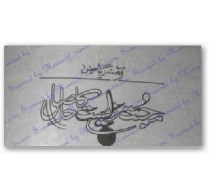 Mohabbat Zeest Ka Hasil (ebook)