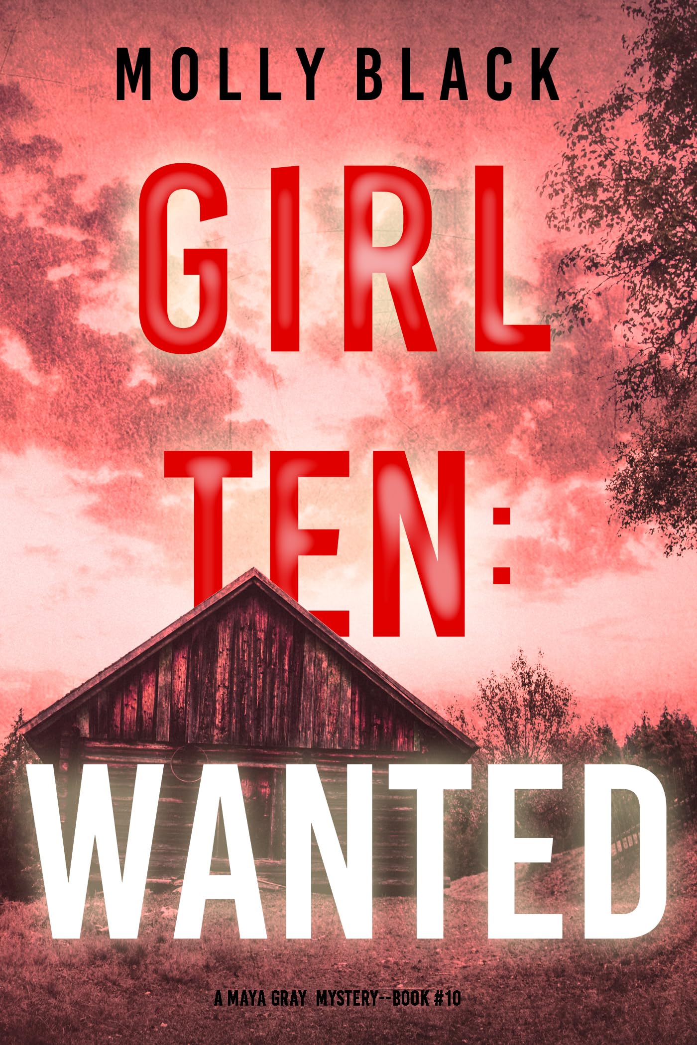 Girl Ten: Wanted (Maya Gray #10)