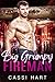Big Grumpy Fireman (Big Bur...