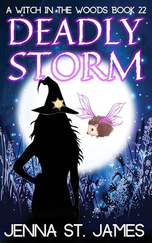 Deadly Storm (Witch in the Woods, #22)