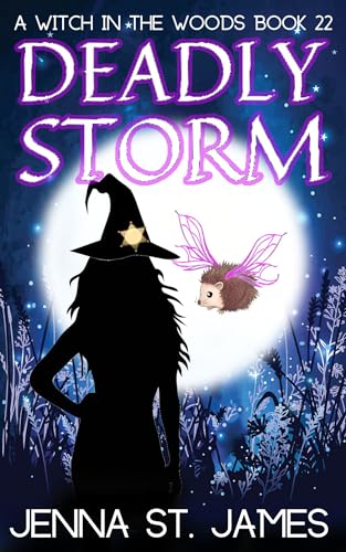 Deadly Storm (A Witch in the Woods #22)