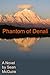 Phantom of Denali by Sean McGuire