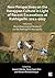 New Perspectives on the Harappan Culture in Light of Recent E... by Vasant Shinde