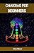 CHAKRAS FOR BEGINNERS: A Co...