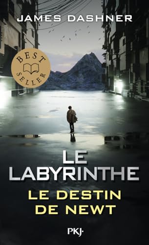 Le Labyrinthe : Le destin de Newt (Pocket Book)