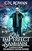 An imPerfect Samhain by C.N. Rowan