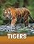 Tigers