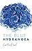 The Blue Hydrangea