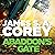 Abaddon's Gate: Expanse, Book 3