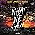 What We Saw: A Thriller