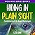 Hiding In Plain Sight: Conf...