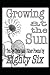 Growing at the Sun