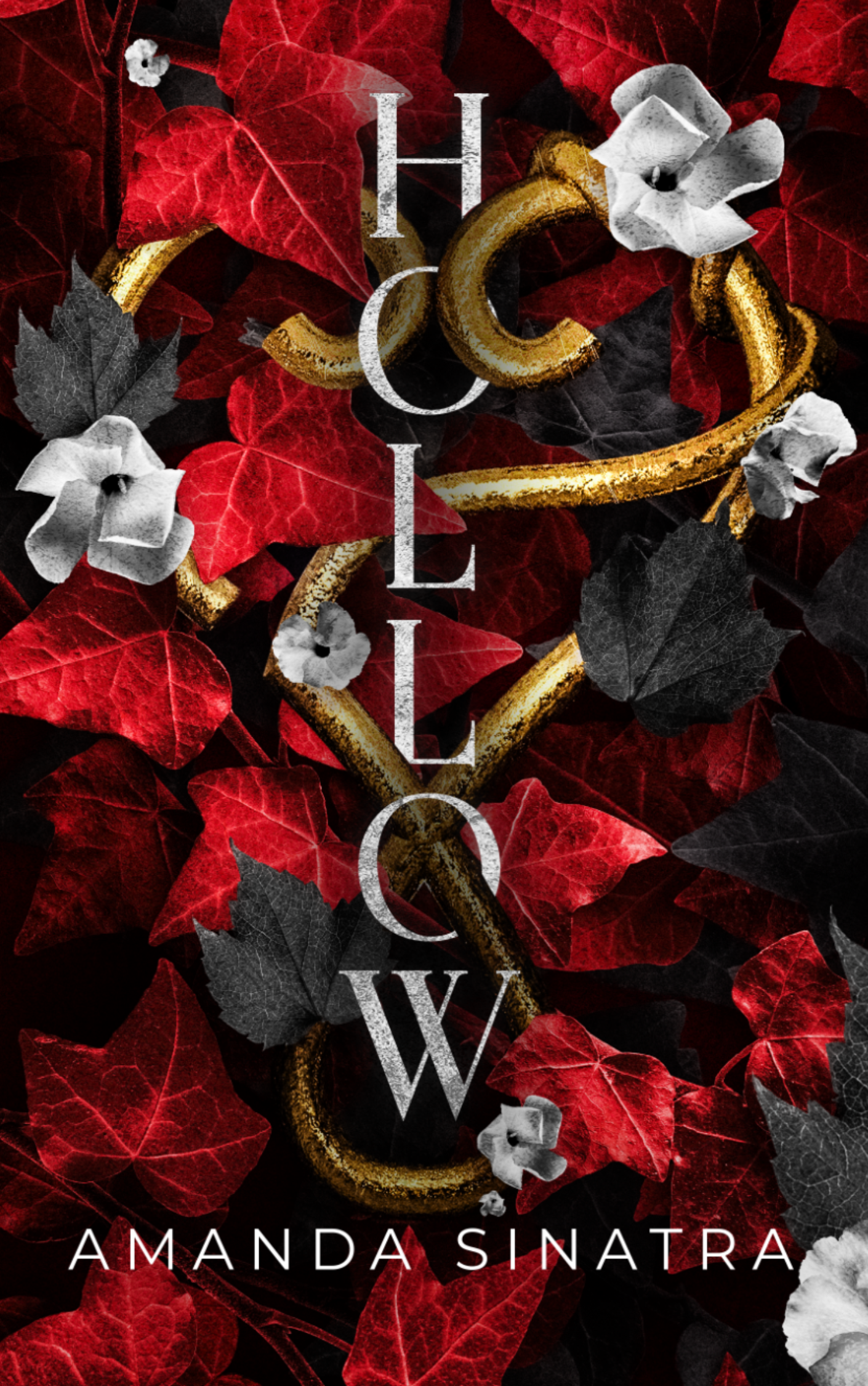 Hollow (Hollow, #1)