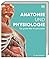 Anatomie und Physiologie