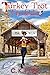 Turkey Trot Trouble: A Short Romantic Cozy Mystery