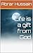 Life is a gift from God by Abrar Hussain