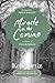 Miracle on the Camino by Kelle Ortiz