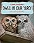 Owls in Our Yard!: The Stor...