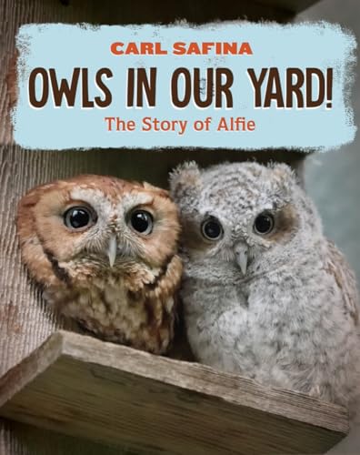 Owls in Our Yard!: The Story of Alfie (Hardcover)