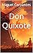 Don Quixote: The Tale of a ...