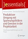 Produktiver Umgang mit Spannungsfeldern und Grenzen in der Projektarbeit: Handlungsempfehlungen aus der Praxis (essentials) (German Edition)