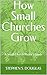 How Small Churches Grow: A ...