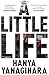 A Little Life by Hanya Yanagihara (21-May-2015) Paperback by Hanya Yanagihara