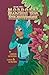 Mordokai Searches for Strawberries (Mordokai and Friends Book 2)