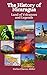 The History of Nicaragua by Carlos Chavez-Miller
