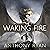 The Waking Fire (Draconis Memoria #1)