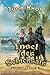 Insel des Schicksals (Freibeuter Buch 1) by Igor Knox