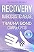 Recovery from Narcissistic ...