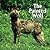 The Painted Wolf: African W...