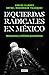 Izquierdas Radicales En México