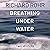 Breathing Under Water by Richard Rohr